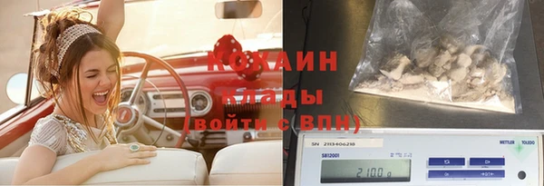 МДПВ Лиски