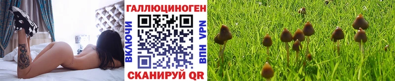 Галлюциногенные грибы прущие грибы  hydra как зайти  Самара  закладки 