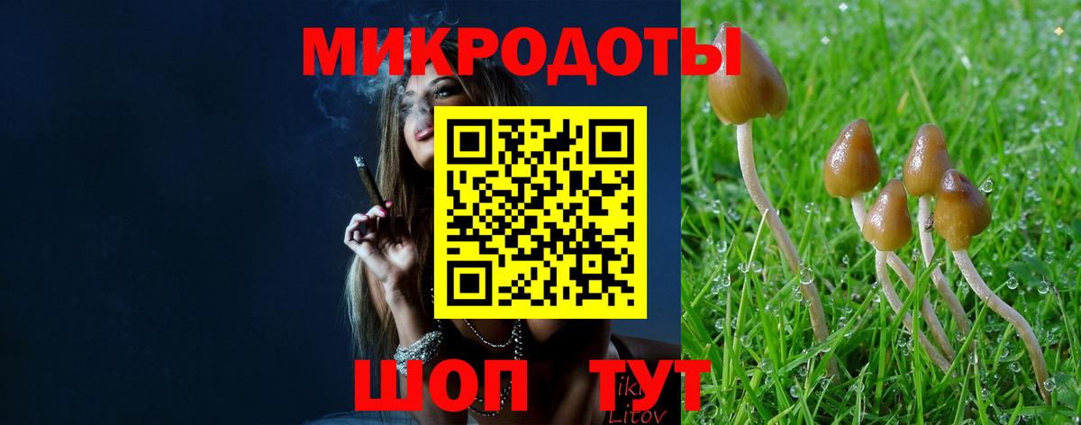 Самара  Псилоцибиновые грибы GOLDEN TEACHER  Вход с VPN 