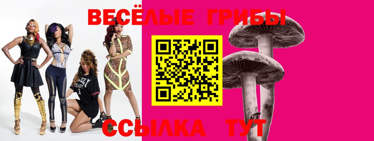Галлюциногенные грибы MAGIC MUSHROOMS Самара